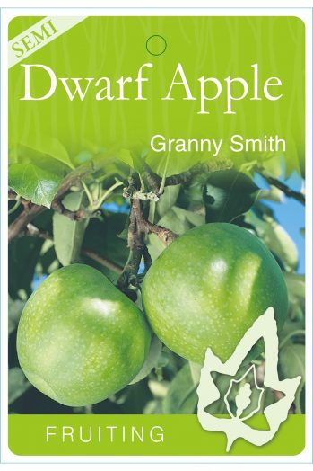 Malus domestica 'Granny Smith' (Semi-Dwarf Apple)